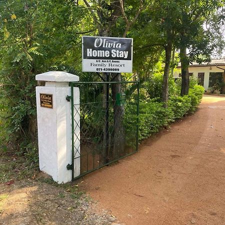 Olivia Homestay Anuradhapura Exteriör bild