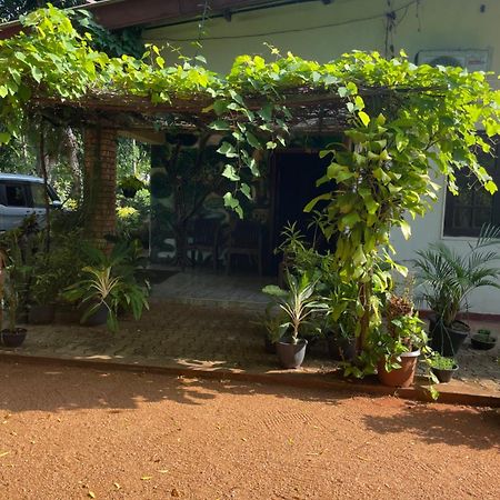 Olivia Homestay Anuradhapura Exteriör bild