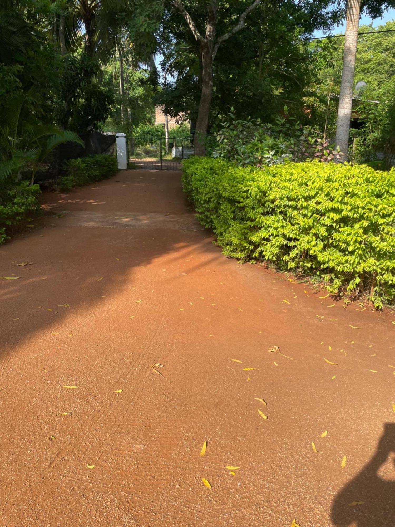 Olivia Homestay Anuradhapura Exteriör bild