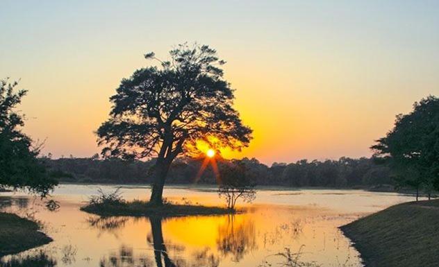 Olivia Homestay Anuradhapura Exteriör bild
